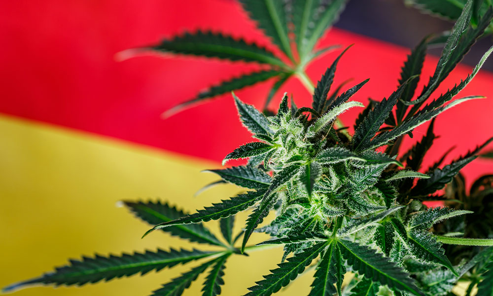 Legalization