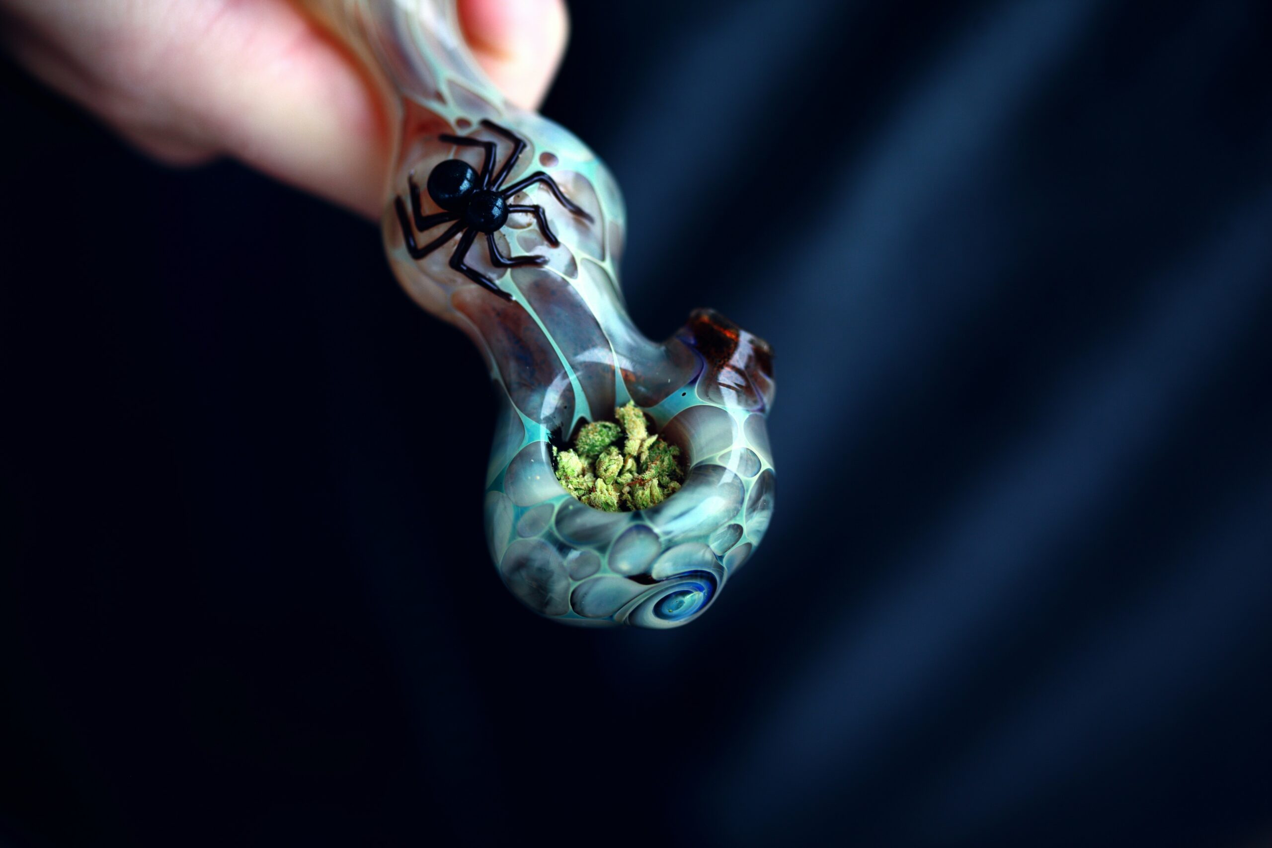Nsw Govt Rejects Medicinal Cannabis Defence