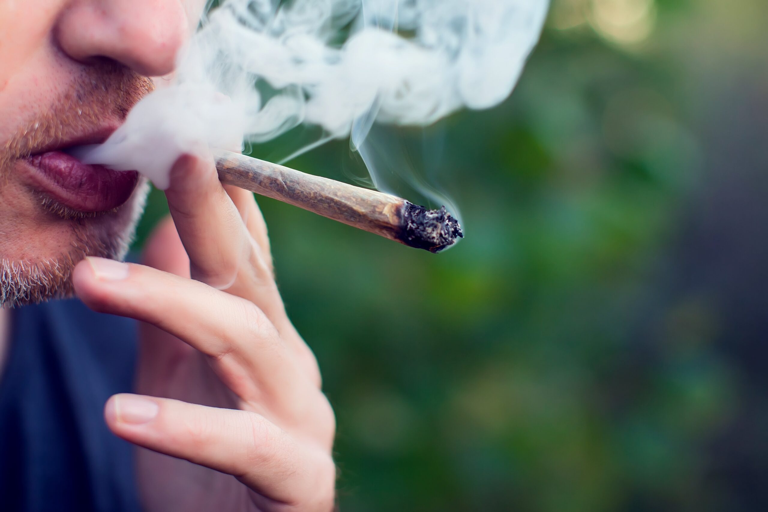 Yakima Votes: Levy Declined, Cannabis Approved!