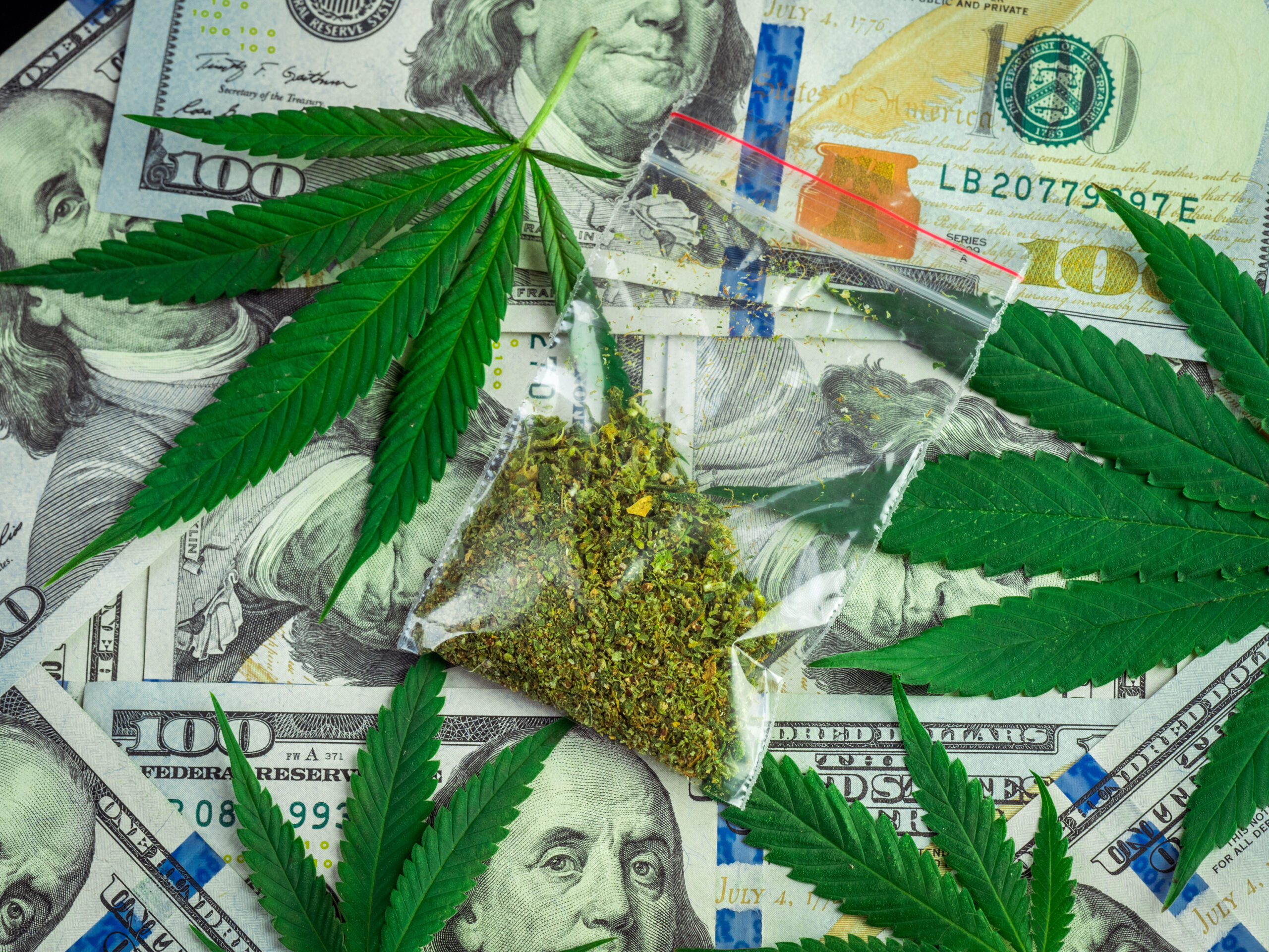 2026 Marijuana Vote Hits Key Milestone!