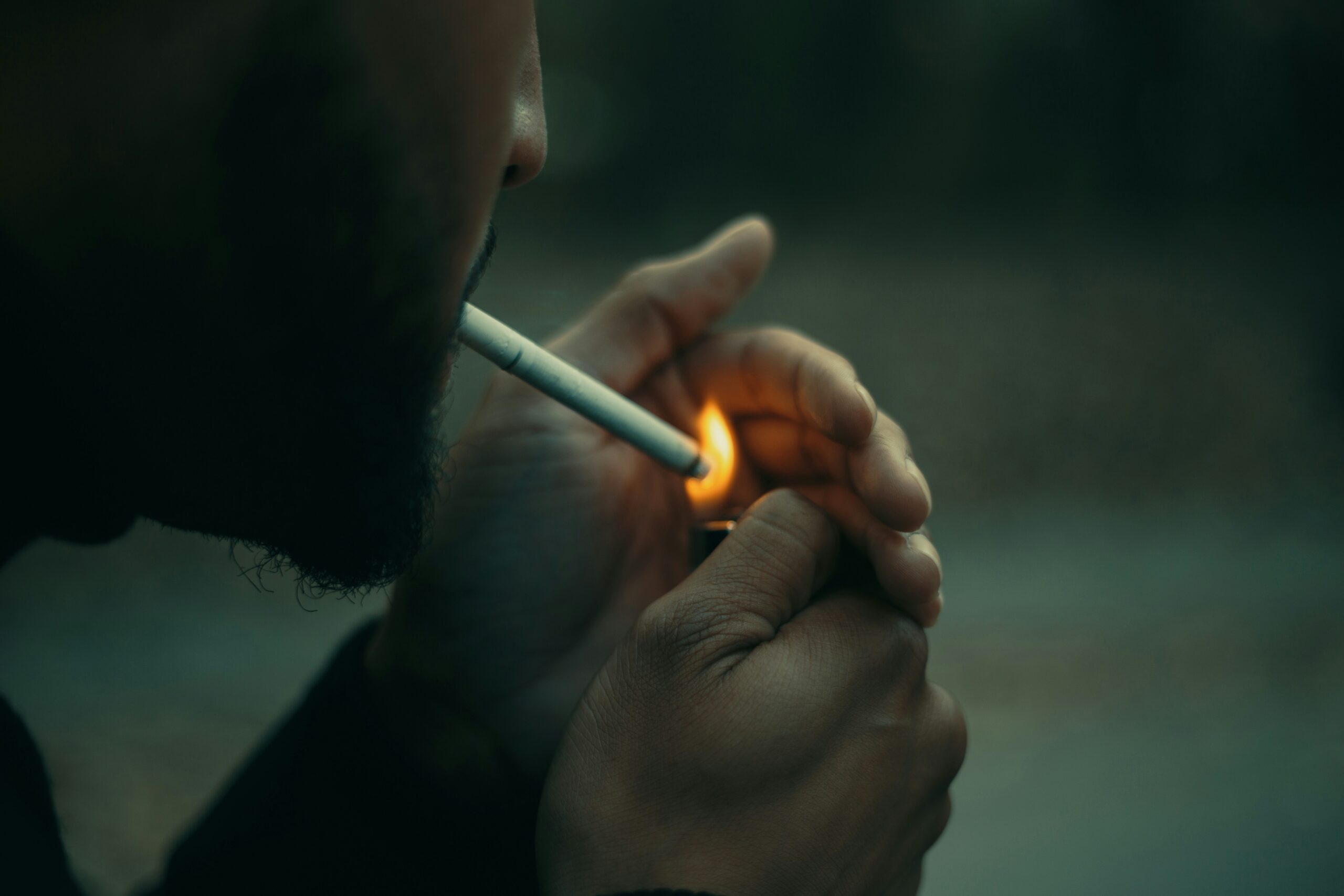 Top 4 Cannabis Earnings Insights to Act Now
