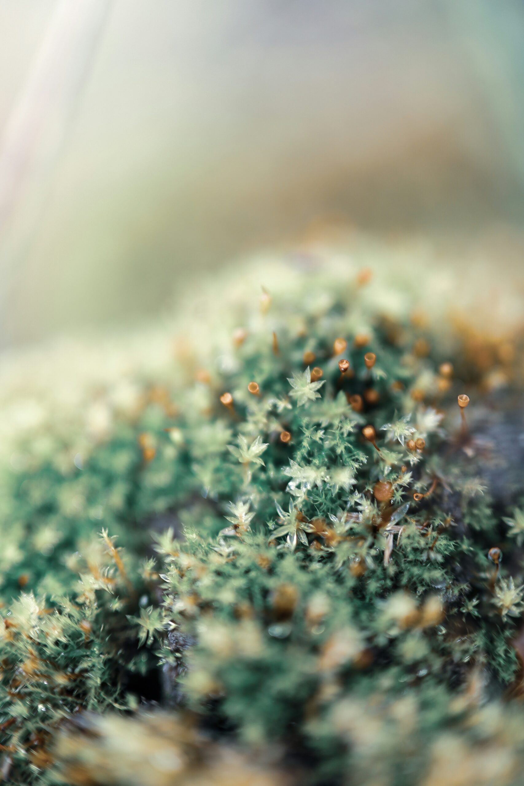 Cannabis & ECG: HIV Study Findings Revealed
