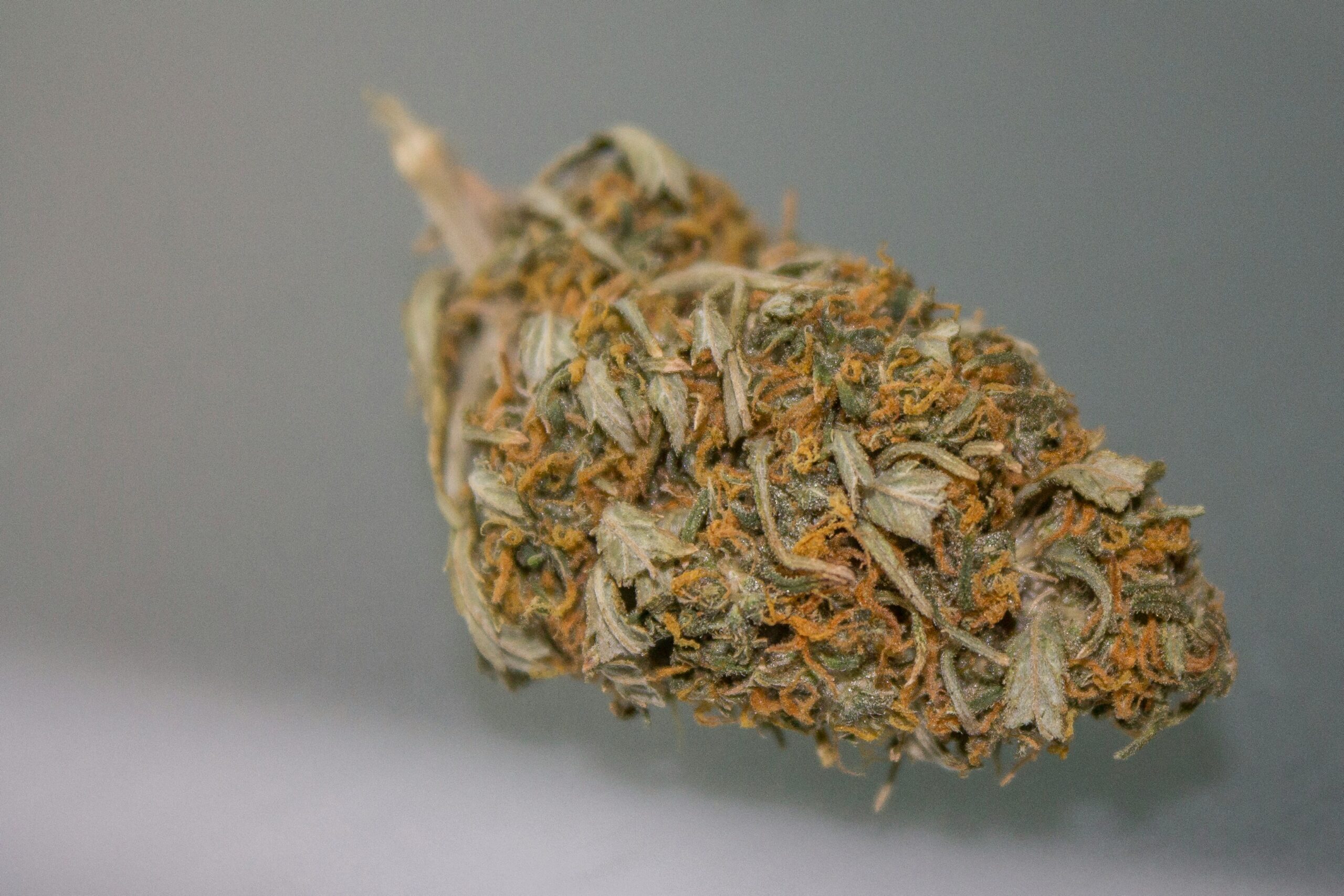 Michigan 24% Weed Tax Faces Court Challenge!