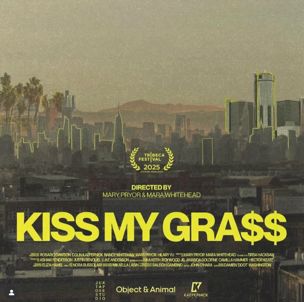 Kiss My Grass film poster