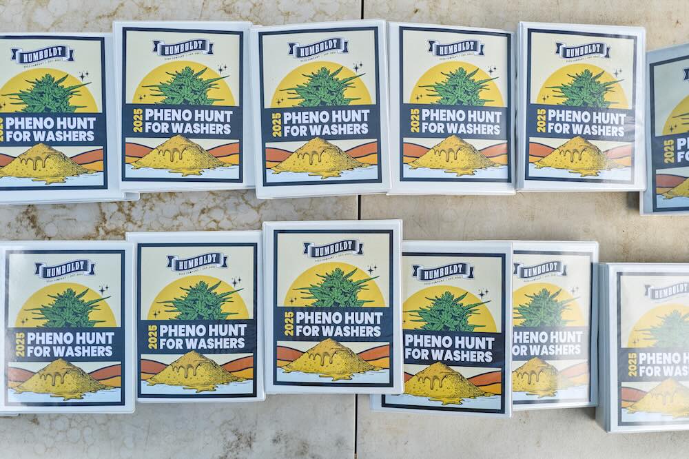 Pheno hunt data collection notebooks